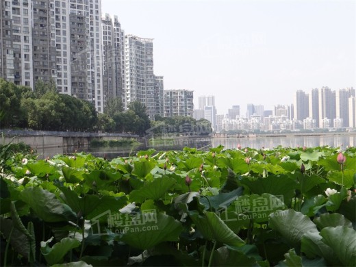 深业泰雲府配套图